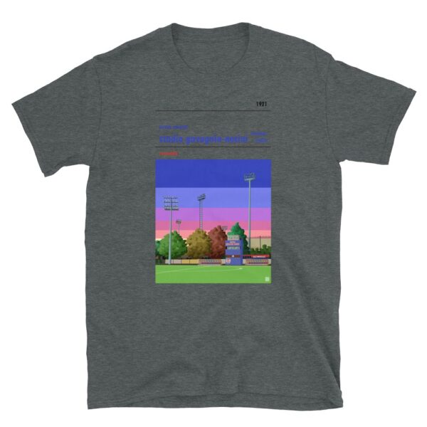 Dark grey t-shirt of Virtus Verona and Stadio Gavagnin Nocini