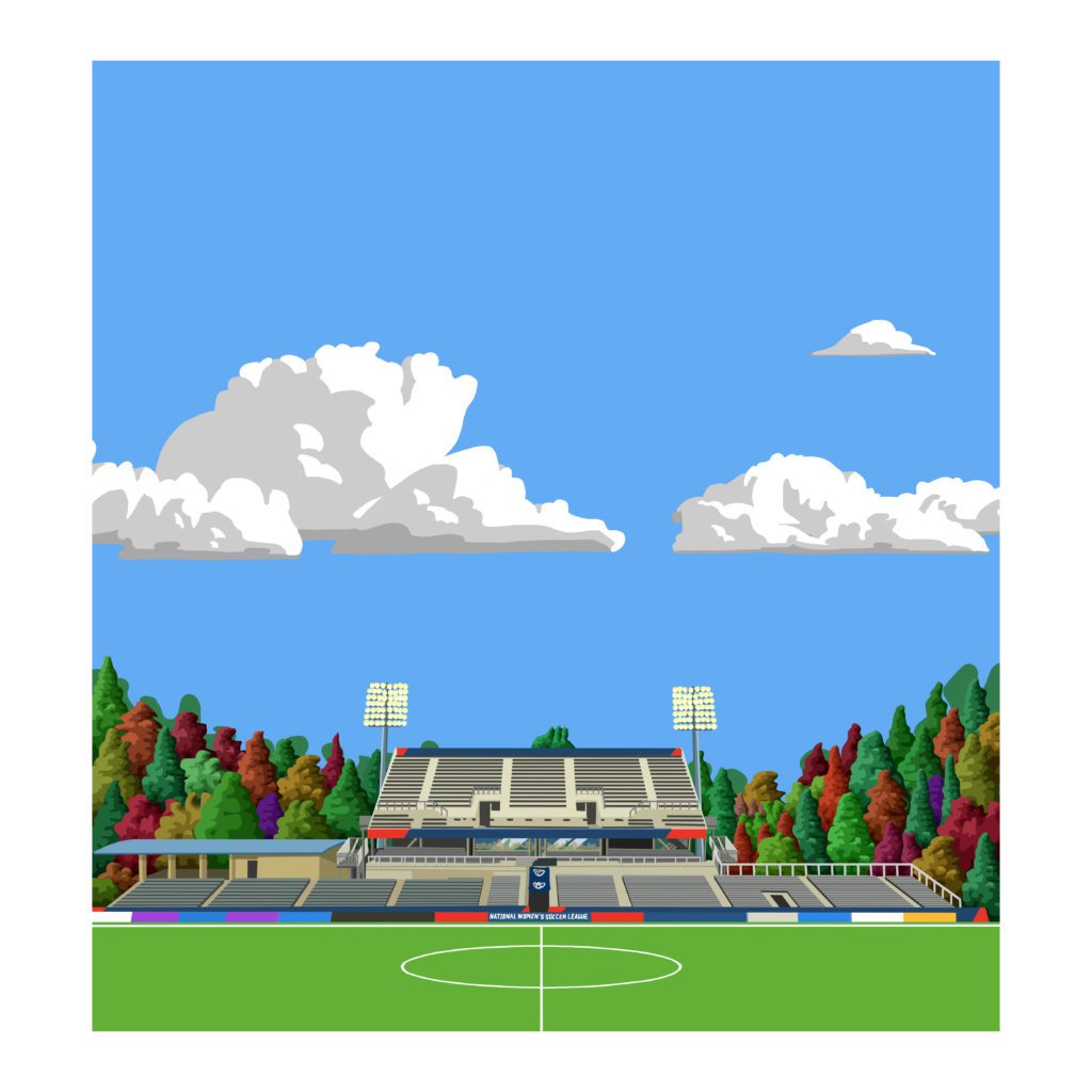 Northa Carolina Courage football print