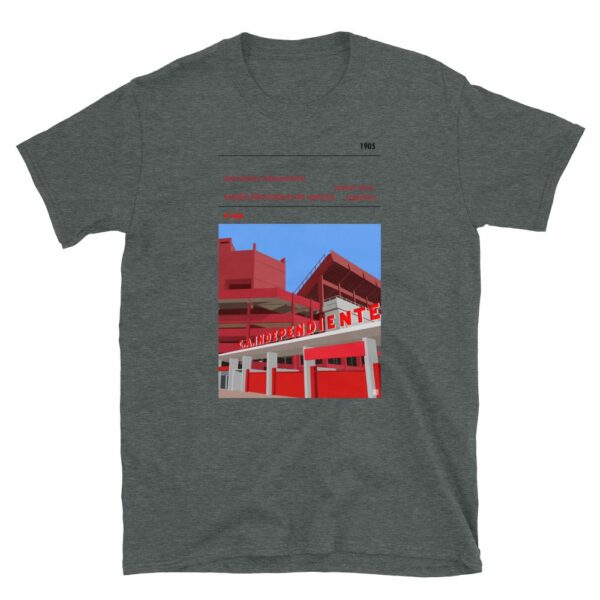 Dark Grey t-shirt of CA Independiente