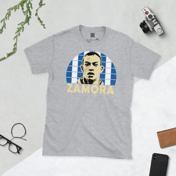 A versatile sports grey T-shirt showcasing a dynamic illustration of Bobby Zamora, the beloved Brighton striker. The design includes his portrait over a bold blue and white striped pattern, typical of the club's colours, with "ZAMORA" clearly visible underneath.